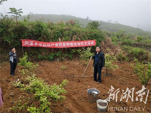 湖南中藥材種植,藥品批發(fā),湖南神舟中藥飲片有限公司