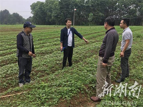 湖南中藥材種植,藥品批發(fā),湖南神舟中藥飲片有限公司